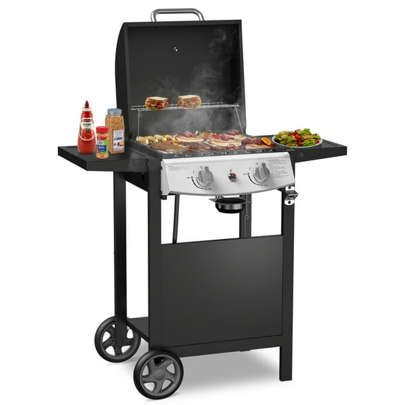 LHRIVER 2 Burner Gas Grill with Side Table, Portable Outdoor Barbecue Cooking BBQ, 20000BTU